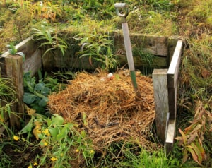 composting toilet pile