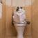 Can Animals Learn How to Use the Toilet?