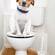 Who’s a Good Boy? Using, not Drinking from the Toilet