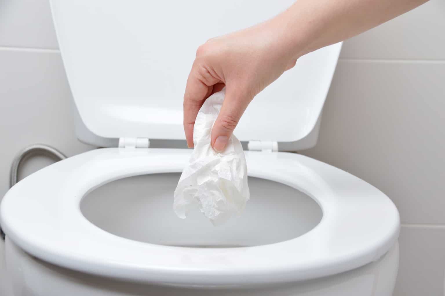 can-you-flush-tissues-rate-my-toilet